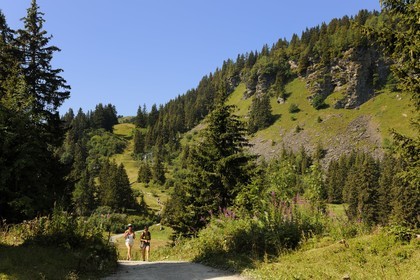 Switzerland, Canton of Vaud, Villars sur Ollon, hamlet of Bretaye