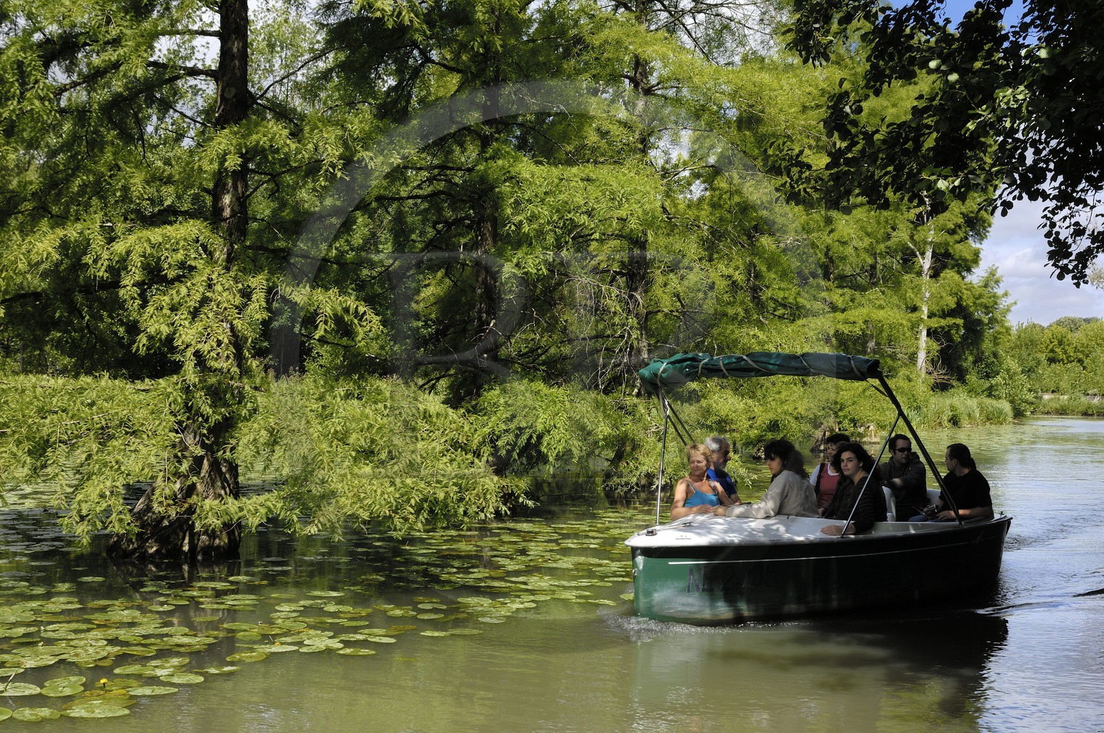 France, Loir et Cher, Chateau de Cheverny park, row with electric boat following cypress on the canal