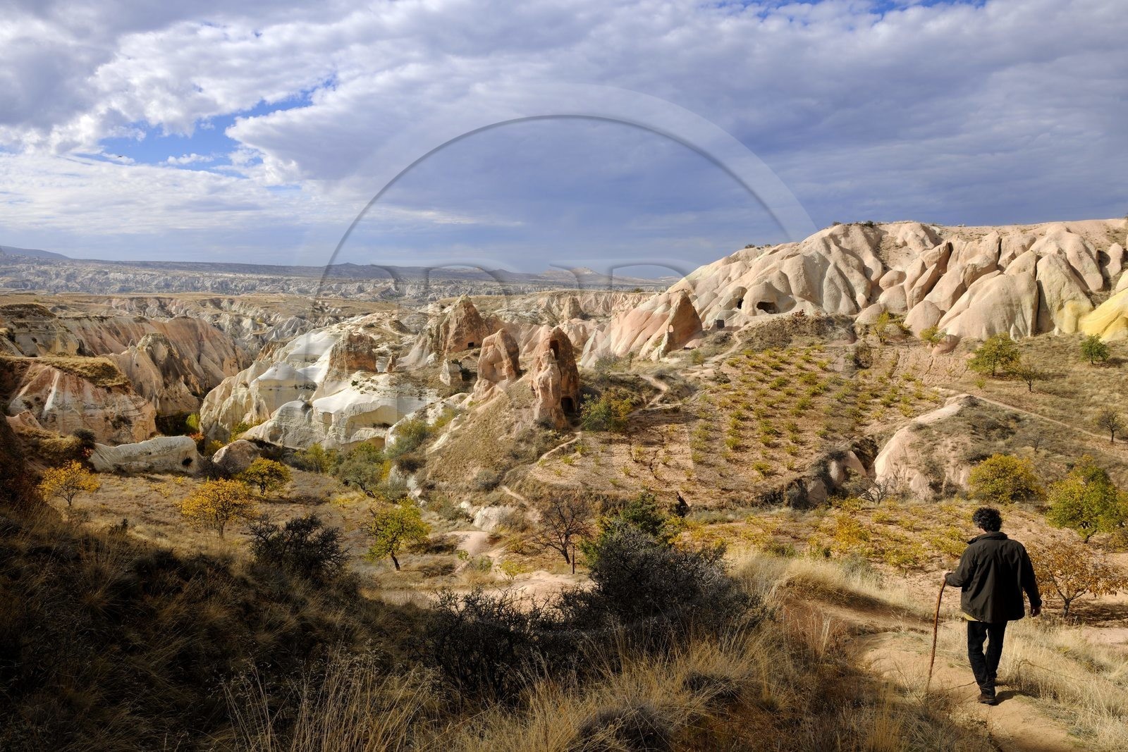 Turquie, Anatolie Centrale, province de Nevsehir, Cappadoce classée Patrimoine Mondial de l'UNESCO, vallon de Kizil Çukur (vallée Rouge) et vignes sur le versant occidental du massif de l'Ak Tepe vers Çavusin