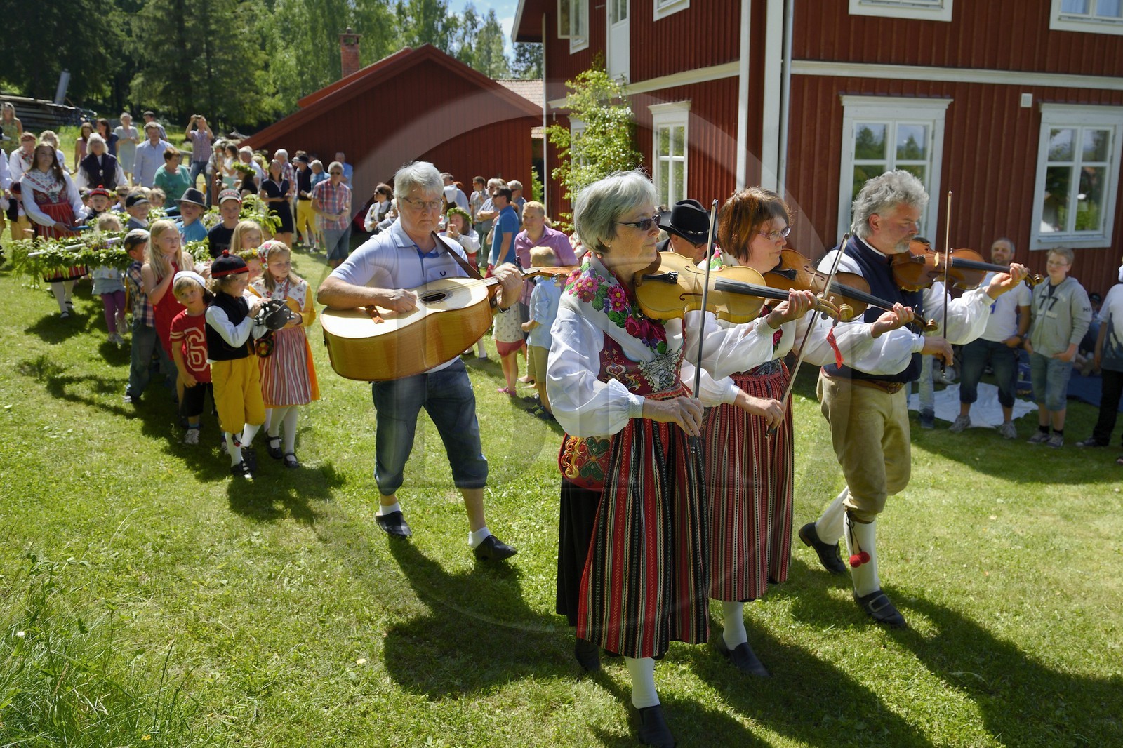 Suède, comté de Dalécarlie, région de Leksand, célébrations du solstice d'été dans le petit hameau de Sunnanäng, défilé des enfants portant l'arbre de Mai avant qu'il ne soit érigé