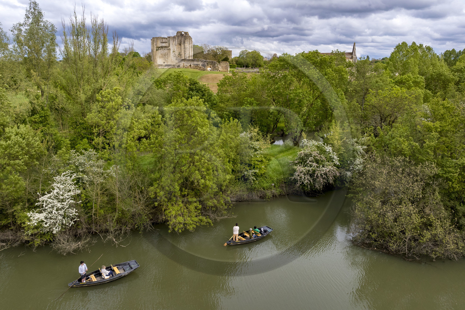 France, Vendée (85), Parc Interrégional du Marais Poitevin labellisé Grand Site de France, Maillezais, batelier effectuant une promenade en barque sur les affluents de l'Autise, les vestiges de l'abbaye Saint-Pierre de Maillezais en arrière plan (vue aérienne)