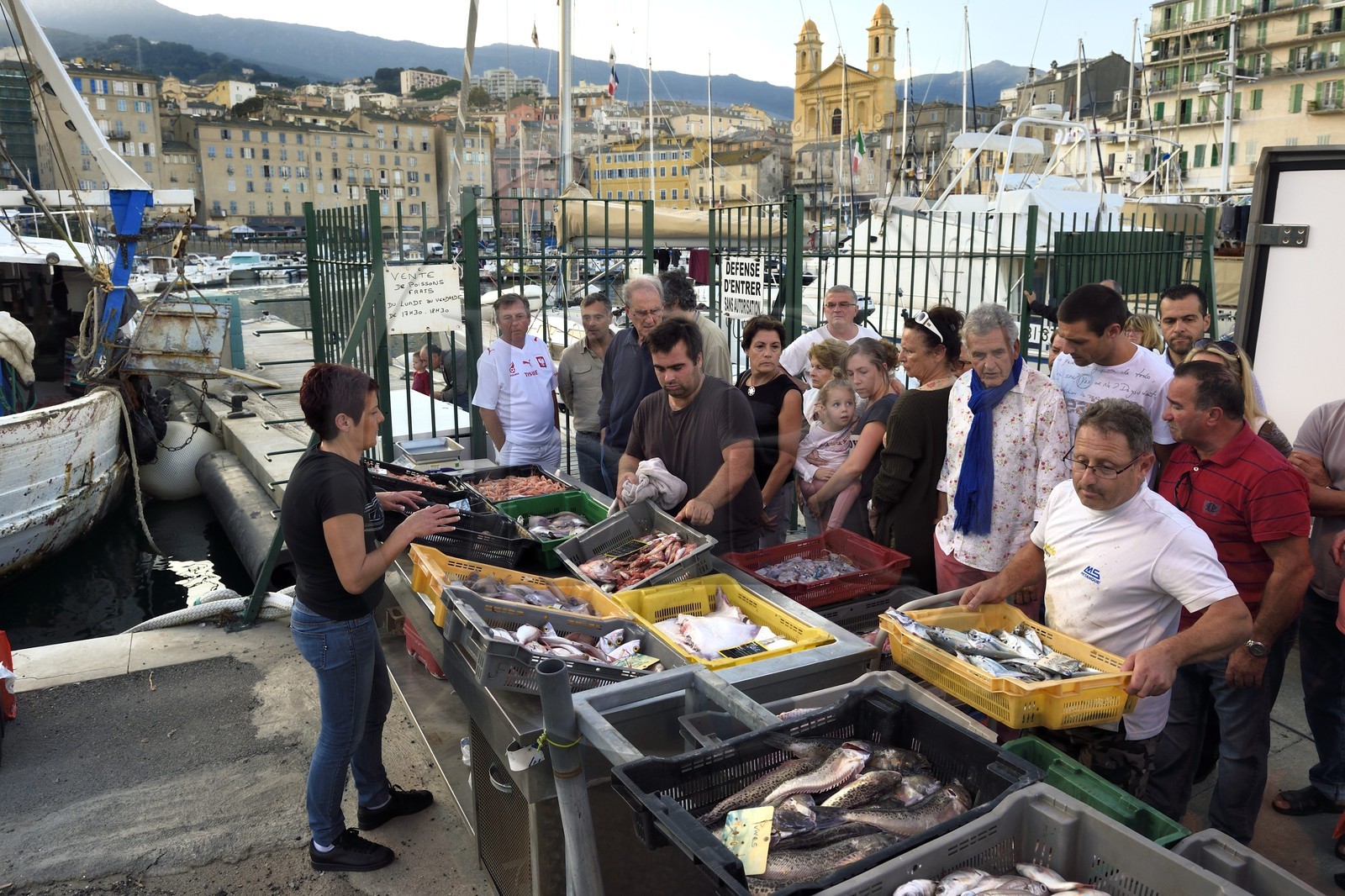 France, Haute-Corse (2B), Bastia, quartier de Terra-Vecchia, le Vieux-Port dominé par l'église Saint-Jean-Baptiste, vente directe du poisson sur le quai après le retour de pêche