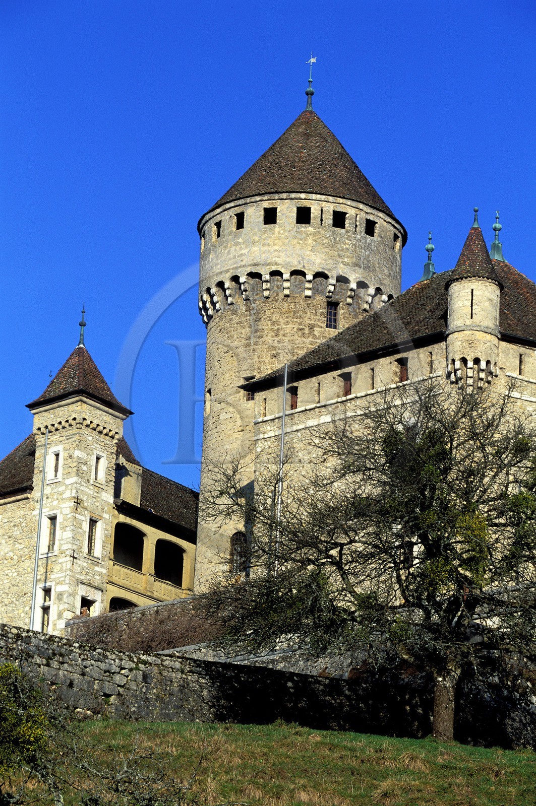 France, Haute-Savoie (74), Lovagny château de Montrottier
