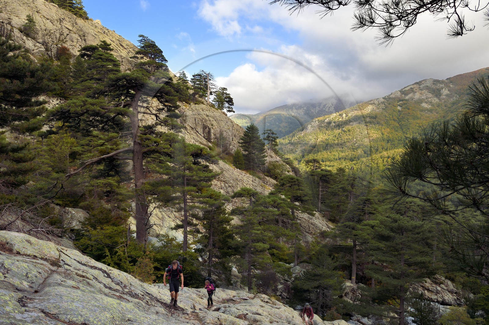 France, Haute Corse, Vivario, hiking on the GR 20, between Onda refuge and Vizzavona, Vizzavona forest, Englishmen cascades, waterfalls group in the Agnone valley