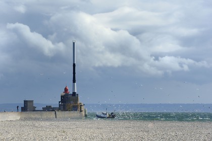 France, Seine-Maritime (76), Le Havre, bateau de pêche entrant au port suivi par une nuée de goélands