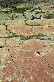 France, Alpes-Maritimes, parc national du Mercantour (Mercantour National Park), the Vallee des Merveilles (Valley of Wonders) scattered with thousands of rupestral engravings of the Bronze Age, hornlike figures on the chiappes yellow schist flagstones