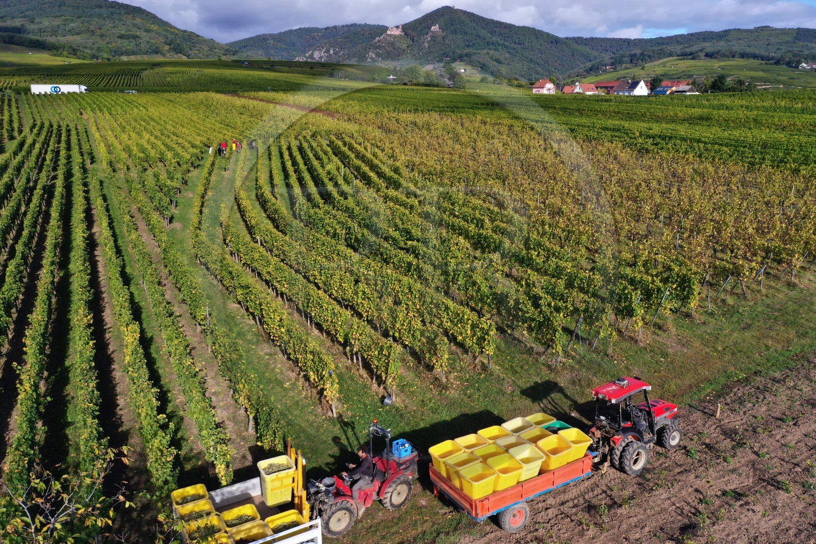 France, Haut-Rhin (68), Route des vins d'Alsace, Ribeauvill
