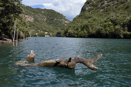 France, Alpes-de-Haute-Provence (04), Parc Naturel Régional du Verdon, Basses Gorges du Verdon en aval du lac de Sainte Croix