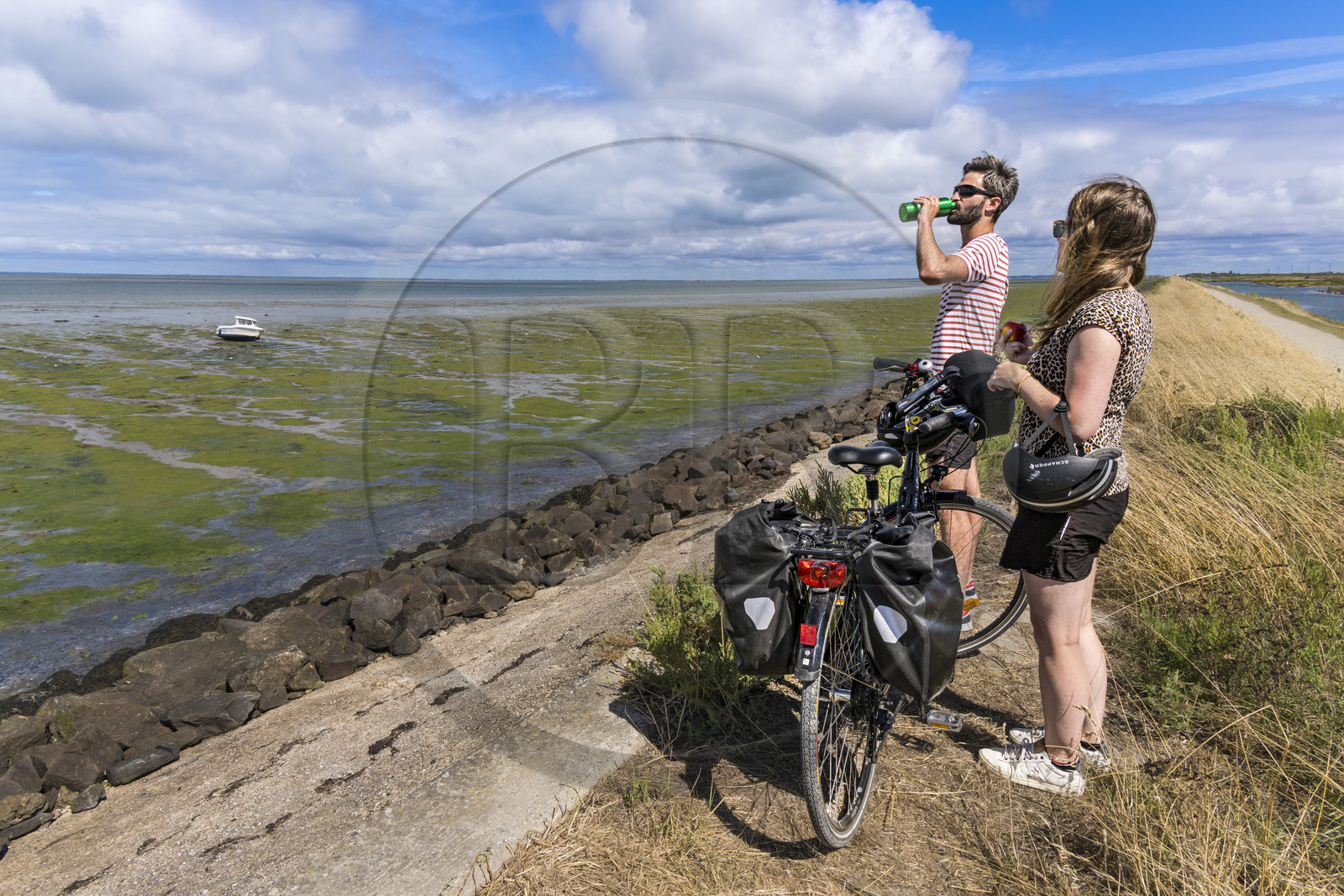 France, Vendée (85), île de Noirmoutier, La Guérinière, cyclistes sur la piste cyclable qui suit la digue entre le Port de Bonhomme et le passage du Gois