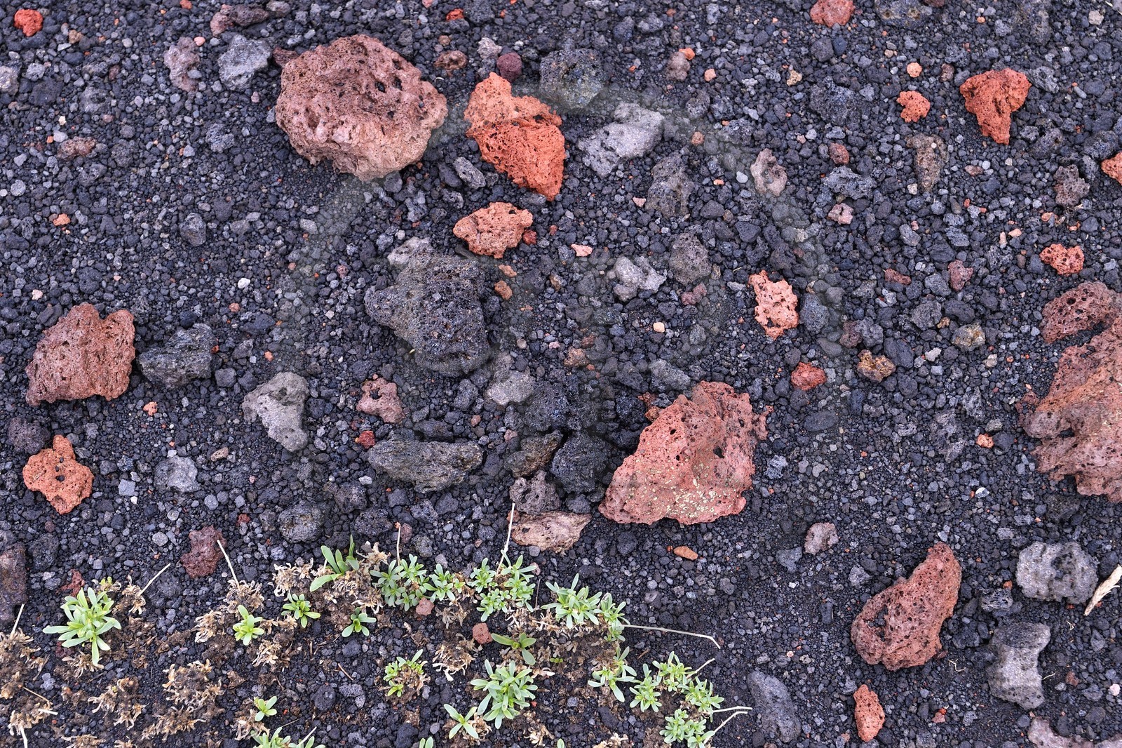Italie, Sicile, Parc naturel régional de l’Etna, le Mont Etna, classé Patrimoine Mondial de l'UNESCO, roche volcanique