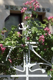 France, Meurthe-et-Moselle (54), Nancy, la Villa Majorelle de style Art Nouveau par l'architecte Henri Sauvage, ferronerie de la cloture