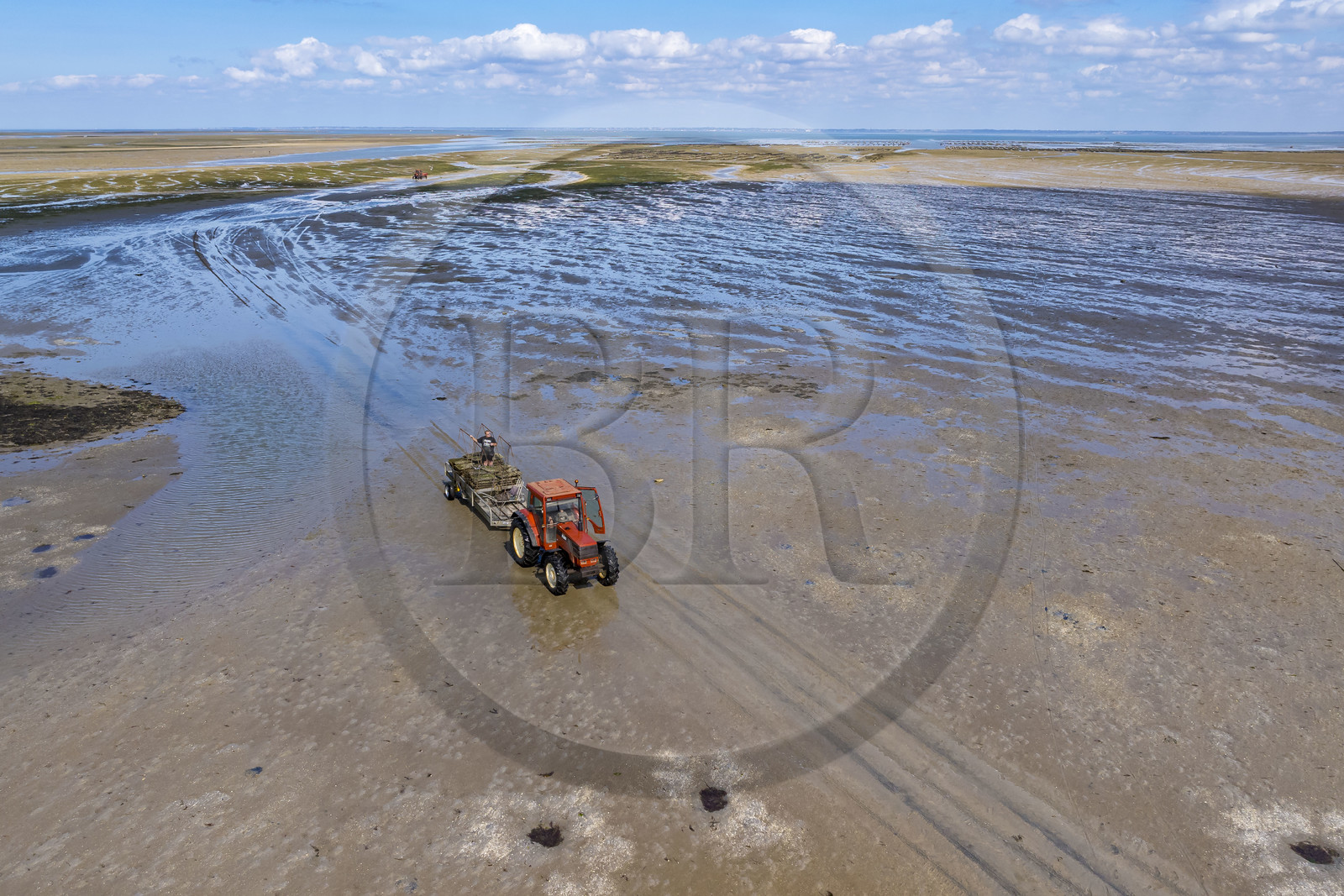 France, Vendée (85), île de Noirmoutier, Barbatre, tracteur ostréicole sur l'estran en bordure du passage du Gois, chaussée submersible qui relie l'île au continent à marrée basse (vue aérienne)