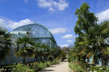 France, Paris (75),  Jardin des Serres d'Auteuil, la grande serre