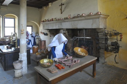 France, Côte-d'Or (21), l'Hôtel-Dieu des Hospices de Beaune, la cuisine