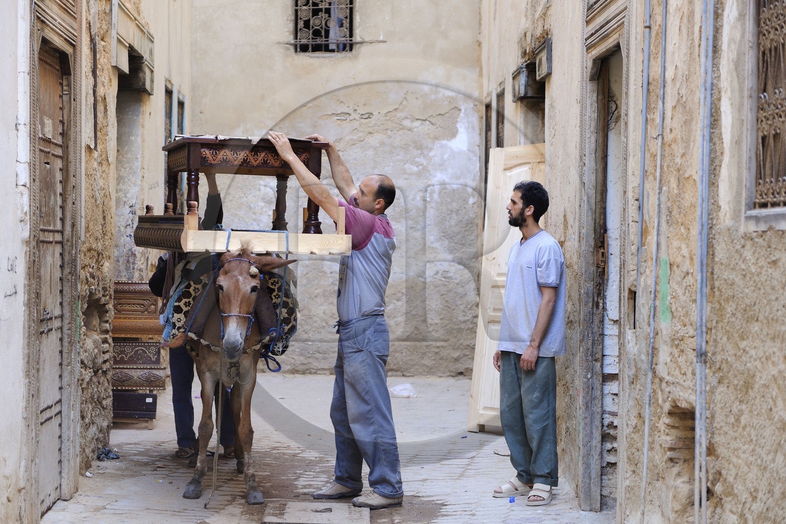 Maroc, Moyen Atlas, Fès, ville impériale, médina classée Patrimoine Mondial de l'UNESCO, l'âne est le seul moyen de transport dans Fès el Bali