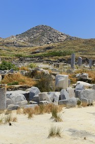 Grèce, île de Delos, classée Patrimoine Mondial de l'UNESCO, site archéologique de Délos, sanctuaire d'Apollon, la plus grande cité antique de la mer Egée, vestiges du quartier du port