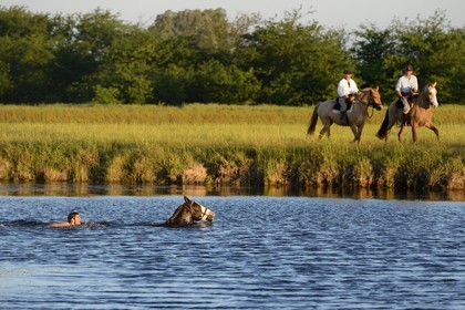 Argentine, province de Buenos Aires, San Antonio de Areco, estancia La Bamba de Areco, gaucho prenant un bain avec son cheval dans un lac