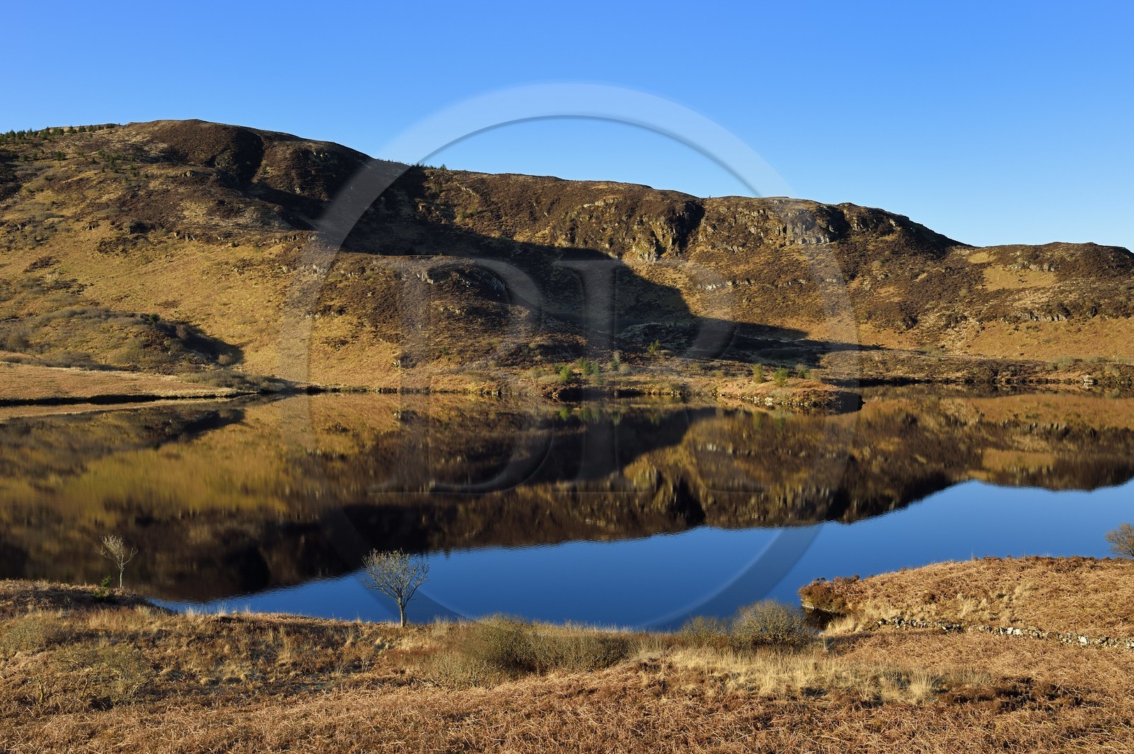 Royaume-Uni, Ecosse, Highland, Hébrides intérieures, Ile de Mull, le Loch Peallach à l'ouest de Tobermory