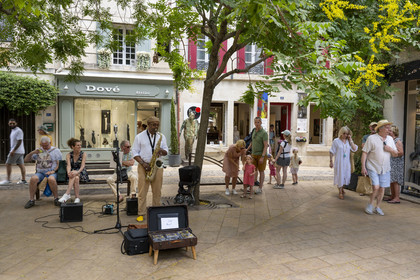 France, Bouches du Rhone, Regional Natural Park of the Alpilles, Saint Remy de Provence, street musician on the small square rue Carnot