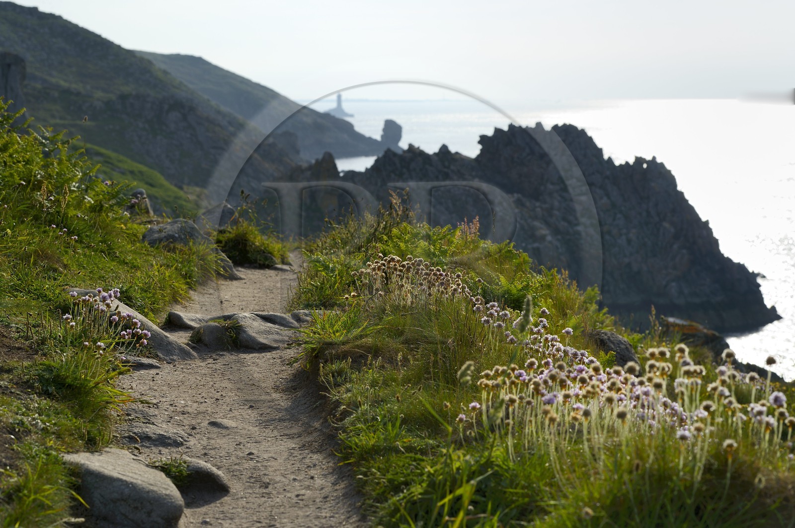 France, Finistère (29), Mer d'Iroise, Plogoff, Pointe du Raz, sentier du GR 34