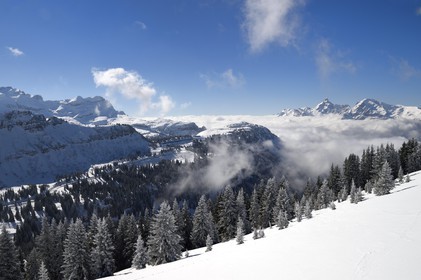 France, Haute-Savoie (74), Arâches-la-Frasse, station de ski Les Carroz d'Arâches
