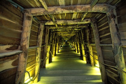 France, Aude (11), Portel-des-Corbières, Terra Vinea, les caves à vin Rocbère