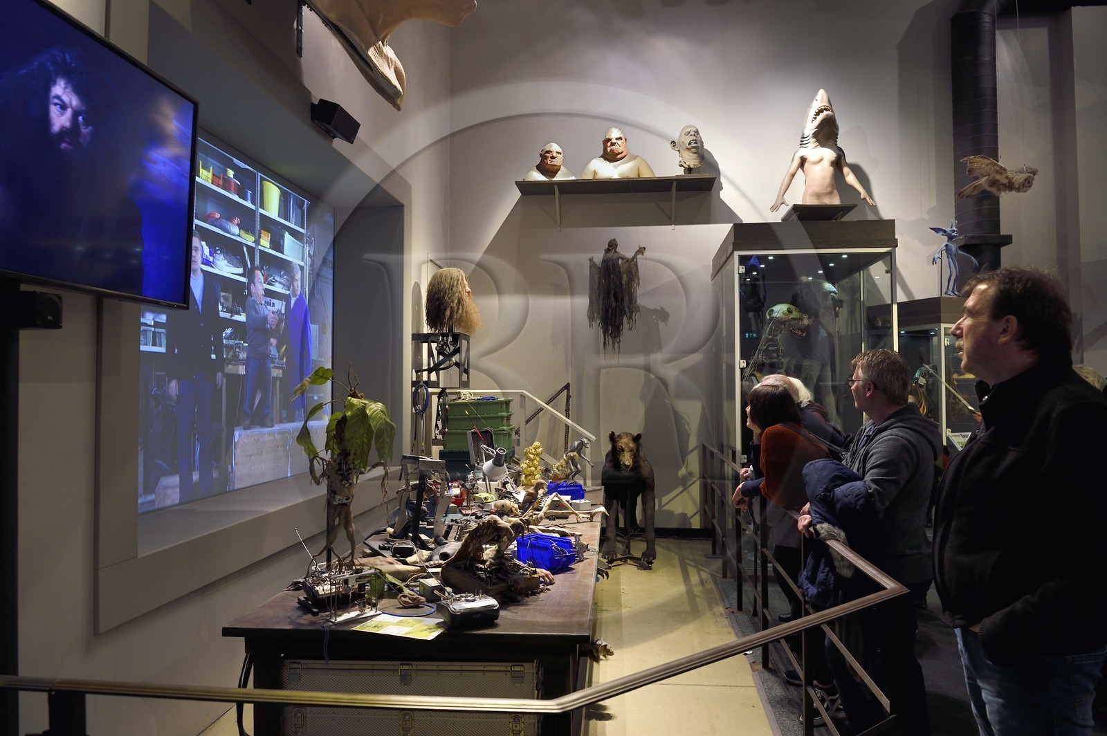 United Kingdom, Hertfordshire, Leavesden, Leavesden Film Studios, Harry Potter Studio Tour London, the scene of the eight Harry Potter movies' making of, creatures special effects making of