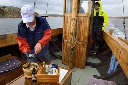 Sweden, Västra Götaland, Grebbestad, Everts Sjöbod (Evert's Boathouse) oyster farm, at sea with Lars Karlsson