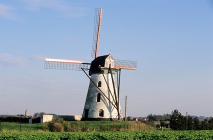 Belgique, Flandre-Occidentale, région de Poperinge, vers Stavele, le (moulin de) Broukmolen