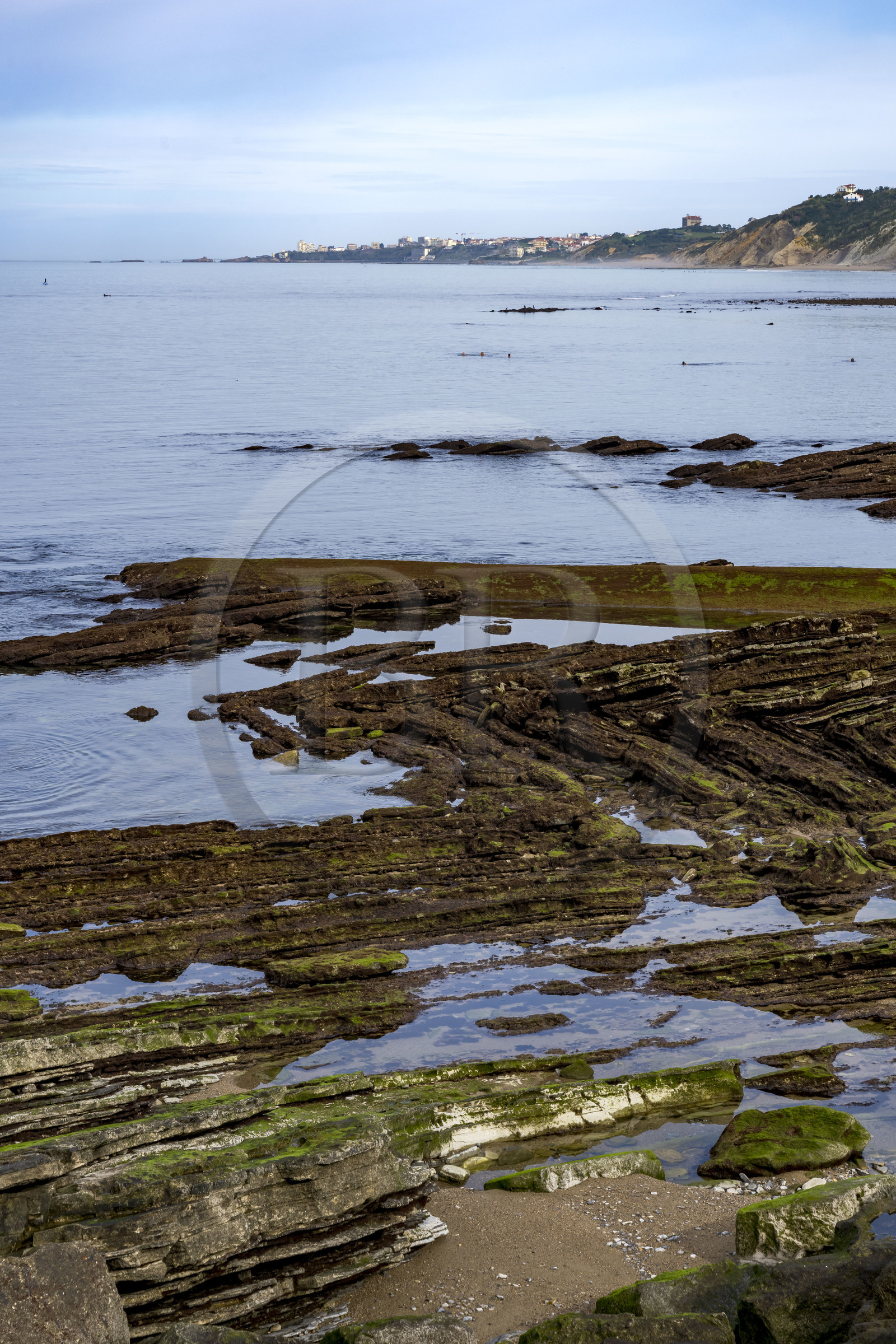 France, Pyrénées-Atlantiques (64), la côte du Pays-Basque, Guéthary, la cote rocheuse, roche de flysch