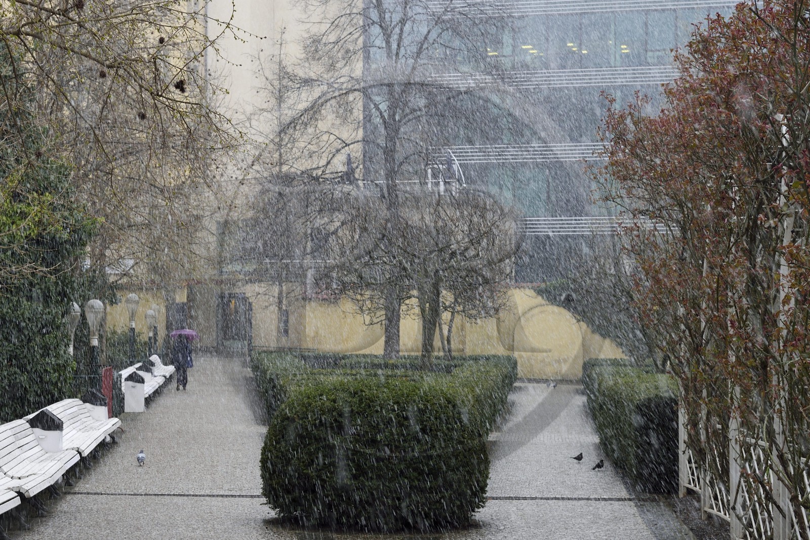 Czech Republic, Prague, Nove Mesto, Franciscan Garden (Frantiskanska zahrada)