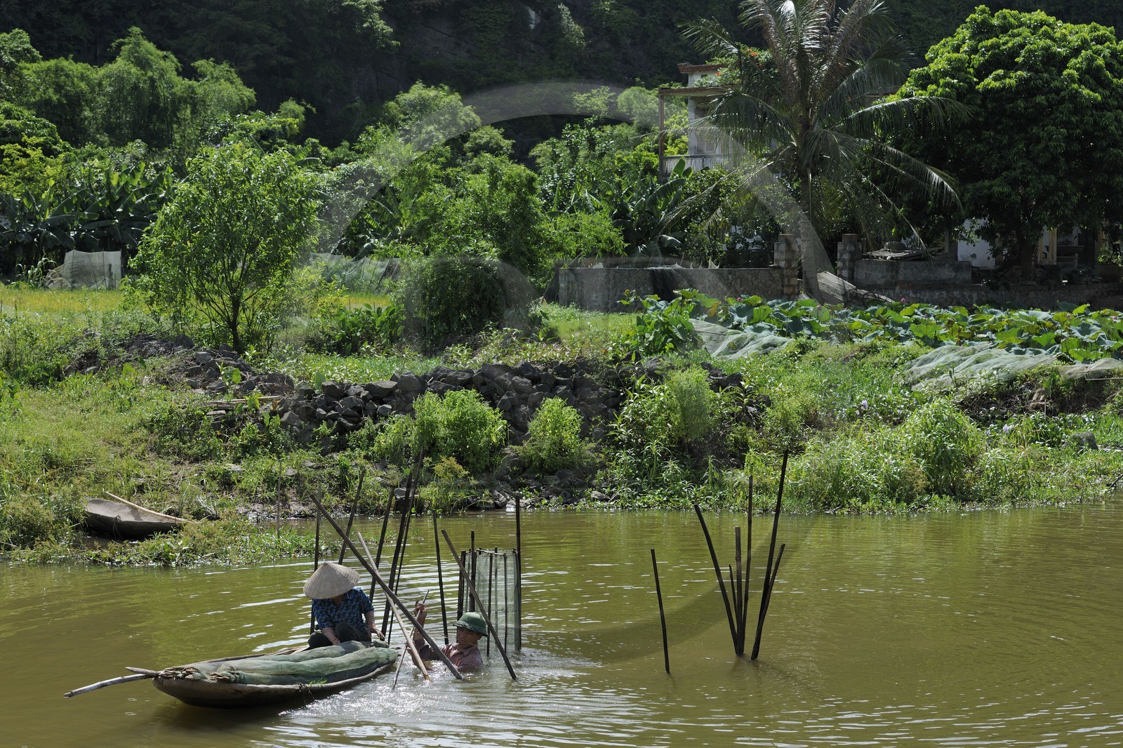 Vietnam, province de Ninh Binh, implantation de filets à poisson dans la rivière