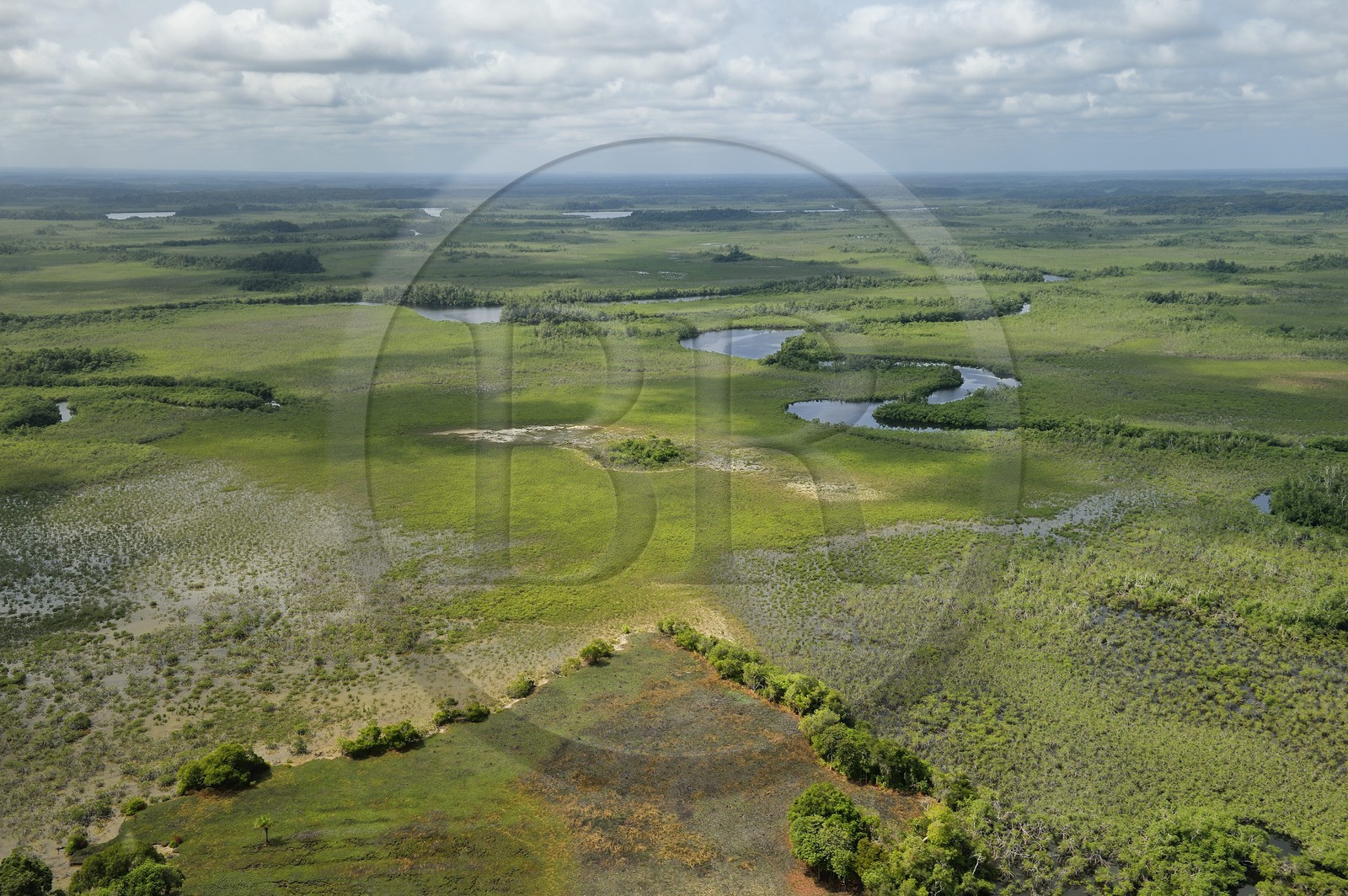 Gabon, Province de Ogooué-Maritime, zone marécageuse et rivières du Delta de l'Ogooué (vue aérienne)