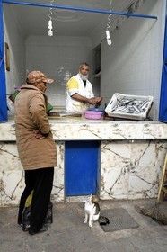 Morocco, High Atlas, Marrakech, Imperial city, Medina listed as World Heritage by UNESCO, fishmonger's stall in the souk