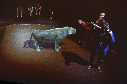 France, Dordogne (24), Perigord Noir, vallée de la Vézère, Thonac, Le Thot, espace Cro-Magnon, le miroir temporel, animation de réalité augmentée, les visiteurs se retrouvent face à des animaux disparus tels qu'une lionne des cavernes