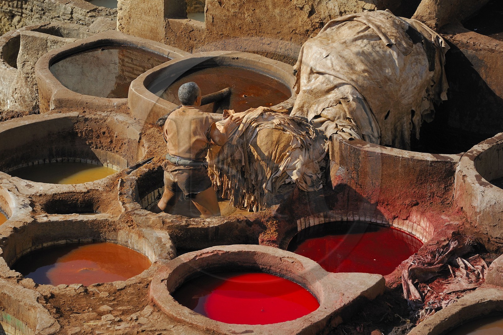 Maroc, Moyen Atlas, Fès, ville impériale, médina classée Patrimoine Mondial de l'UNESCO, Fès el Bali, quartier des tanneurs, Chouara