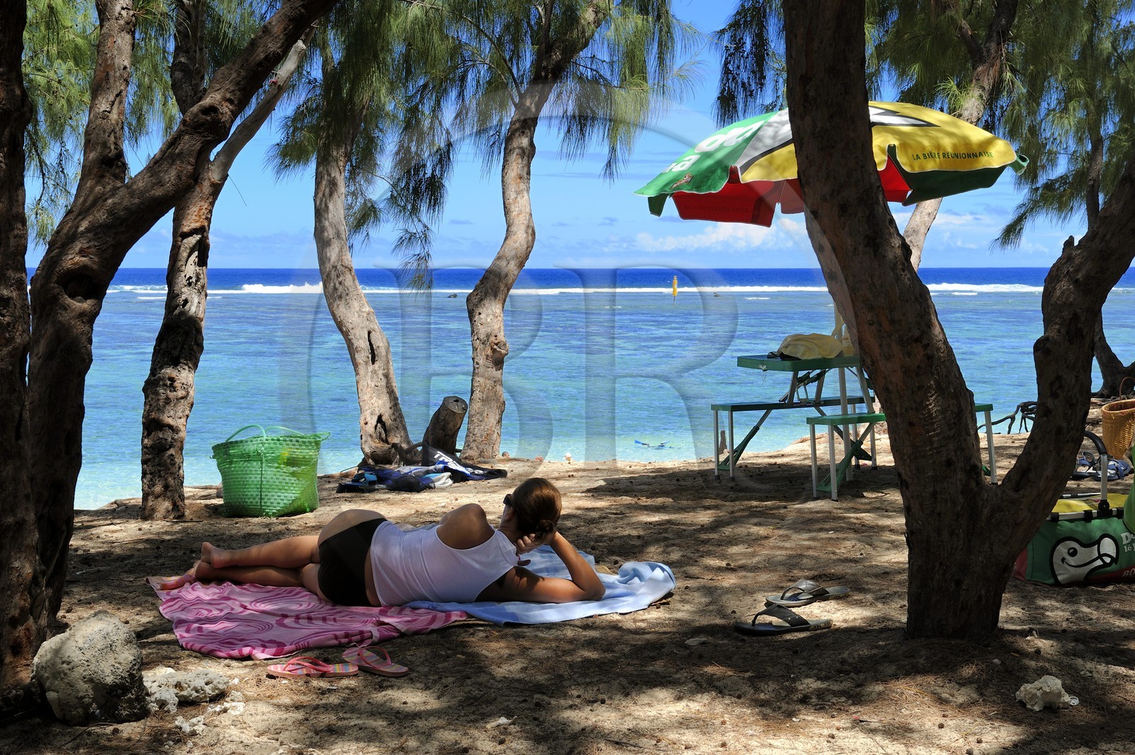 France, île de la Réunion, la Côte Ouest, plage du lagon de Saint-Gilles-Les-Bains à l'Ermitage-les-Bains, pique nique à l'ombre des Filaos