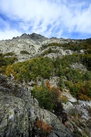 France, Haute-Corse (2B), Vivario, GR 20, étape entre le refuge de l'Onda et Vizzavona, foret de Vizzavona, les cascades des anglais, groupe de cascades dans la vallée de l'Agnone au pied du Monte d'Oro
